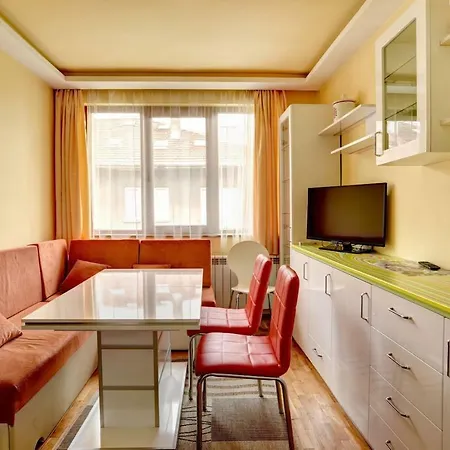 Spacious And Stylish In The Heart Of Plus Parking Apartment Sofia